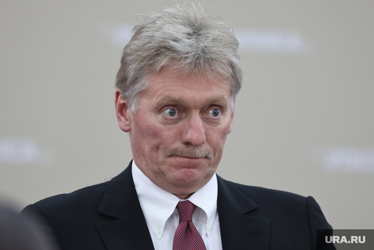 Встреча президента России Владимира Путина с президентом Зимбабве Эммерсоном Мнангагвой. Санкт-Петербург, песков дмитрий