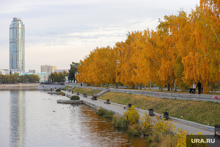 Осень в городе. Екатеринбург, желтые листья, золотая осень, природа
