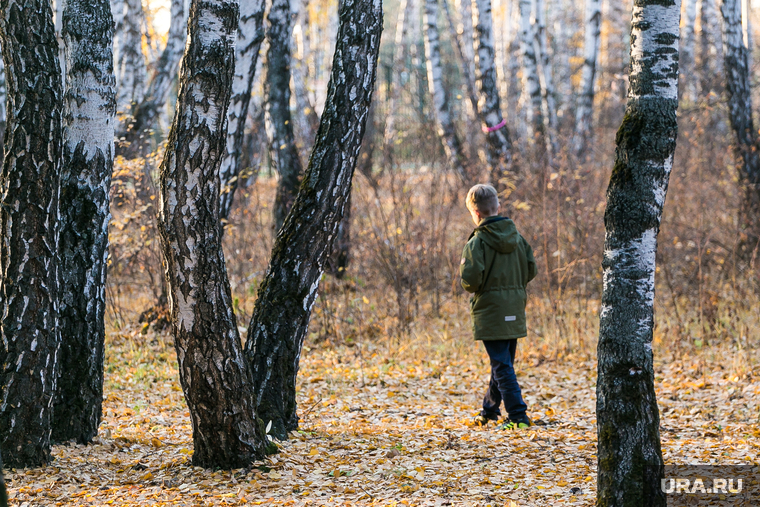 Гилевская роща. Тюмень, ребенок, прогулка, подросток, парк, мальчик, ребенок в лесу, ребенок один, прогулка в парке, гилевская роща