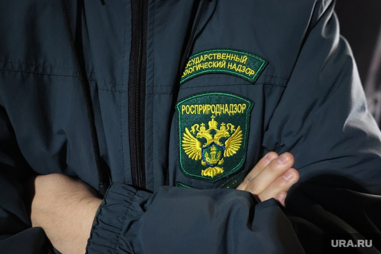 Уничтожение гашиша и конопли сотрудниками ФСБ. Курган, росприроднадзор