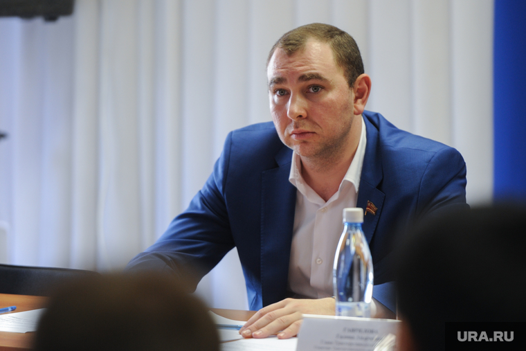 Совет Депутатов Тракторозаводского района. Челябинск, видгоф михаил