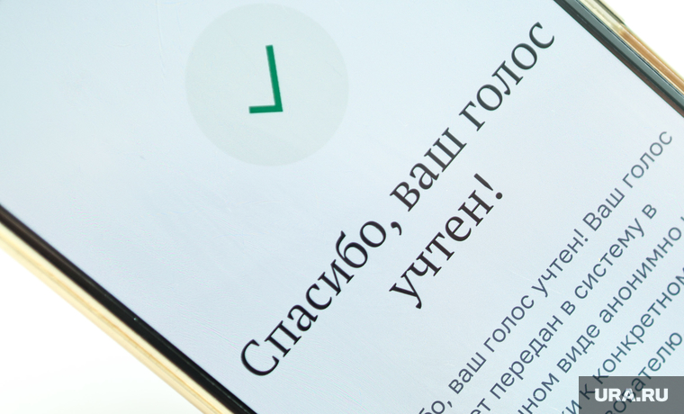 Дистанционное электронное голосование. Москва, голосование онлайн, дэг, дистанционное электронное голосование