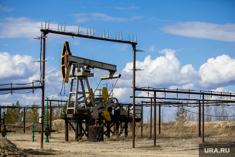 Качалки. Сургут, газ, газпром, топливо, роснефть, качалка, экономика, нефть, месторождение, нефтедобыча, добыча нефти, природные ресурсы, лукоил, сургутнефтегаз, куст нефтегазовый, цены на нефть