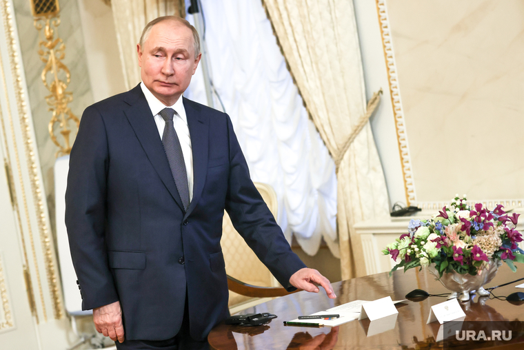 Президент России Владимир Путин на встрече с президентом Египта Абдул-Фаттахом Халилом Ас-Сиси, путин владимир
