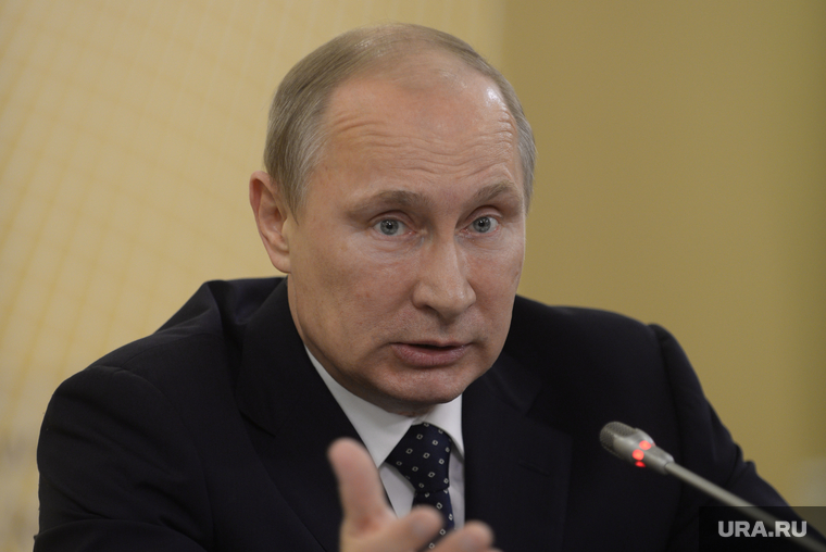Портреты политиков, чиновников. архив. Пермь, путин владимир
