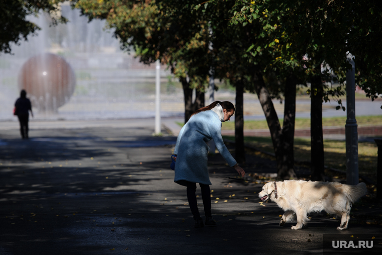 Клипарт. Екатеринбург, аллея, октябрьская площадь, выгул собак, парк, прогулка с собакой