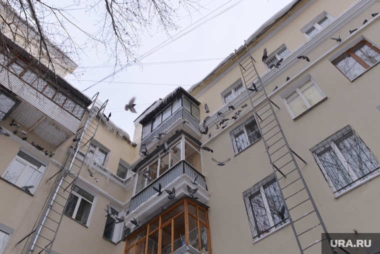 ЖКХ. Снег. Сосульки. Челябинск., голуби, сосульки, балкон, жкх, дом