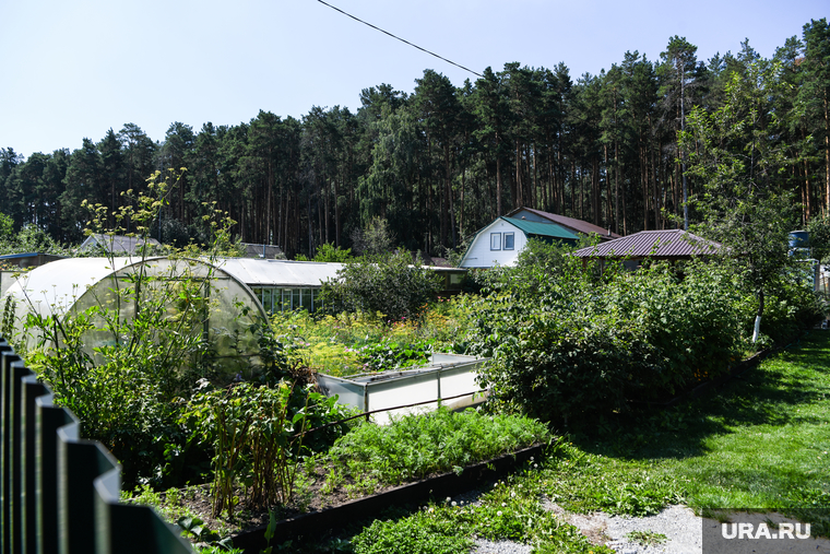 Клипарт, разное. Екатеринбург, огород, дача, частный дом, садовый участок, садовое товарищество, ст 40 лет октября