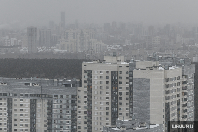 Ветреная погода в Екатеринбурге. Екатеринбург , многоэтажка, зима, снегопад, жилье, туман
