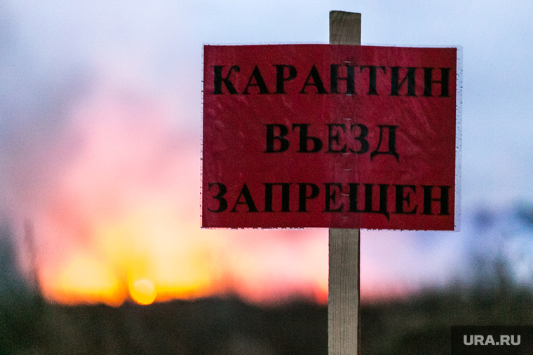 Полигон для сжигания боровских куриц и корма. Тюмень, пожар, въезд запрещен, огонь, карантин, въезд закрыт