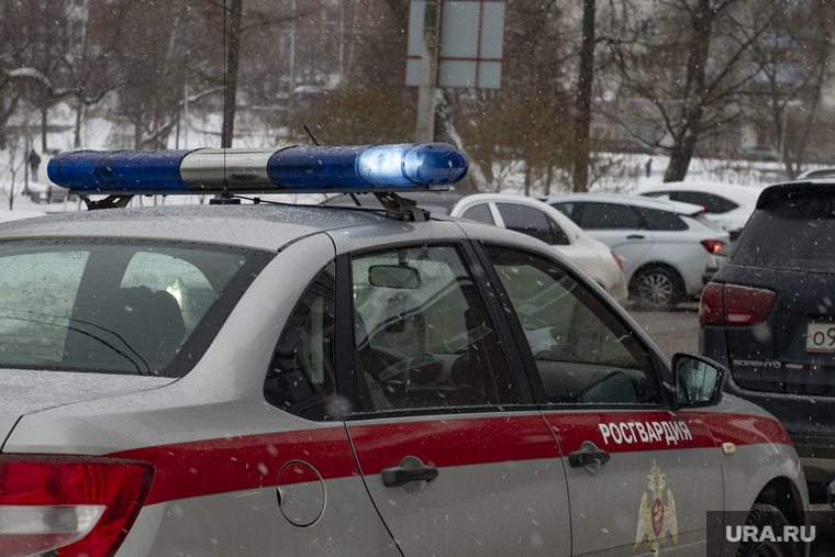 Снегопад в городе. Пермь, мигалки, происшествие, полиция, росгвардия