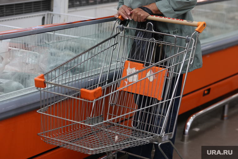 Покупатели в ТЦ. Курган, торговый центр, покупатели, корзина с продуктами, магазин, супермаркет, продукты питания, пустая корзина