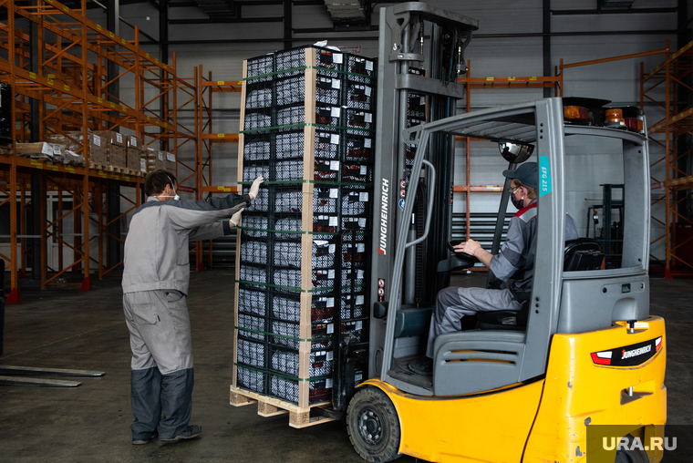 Прибытие первых крупных поставок плодоовощной продукции из Узбекистана. Екатеринбург, склад, погрузчик, разгрузка товара