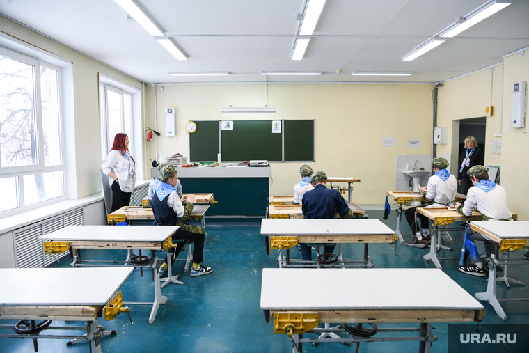 Школьные поделки из елей , спиленных у мэрии Екатеринбурга. Екатеринбург , урок труда, школа, класс трудов, столярная мастерская, школьная мастерская