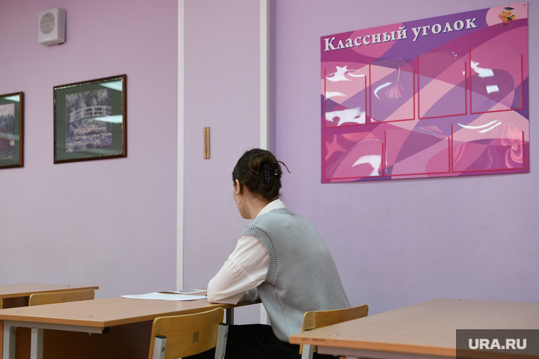 Федеральный тренировочный экзамен в школе №200 - ЕГЭ по обществознанию и английскому языку. Екатеринбург , класс, школьники, школьница