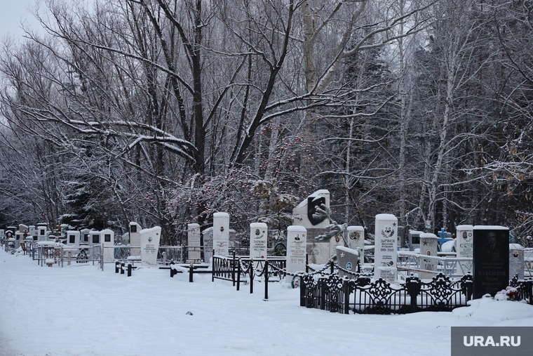 Рябковское кладбище. Курган , снег, могила, зима, смерть, кладбище, похороны, смертность