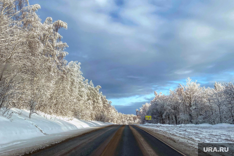 Повседневная жизнь. Пермь, автотрасса, зимняя дорога, гололед, иней на деревьях, лес в куржаке