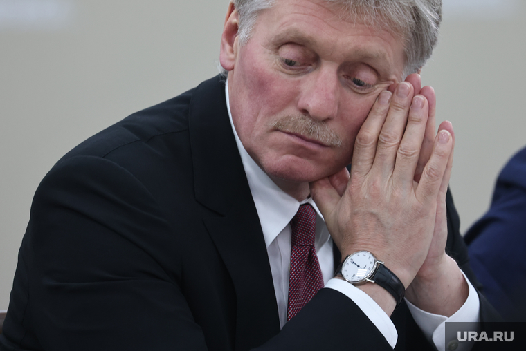 Встреча президента России Владимира Путина с президентом Зимбабве Эммерсоном Мнангагвой. Санкт-Петербург, песков дмитрий