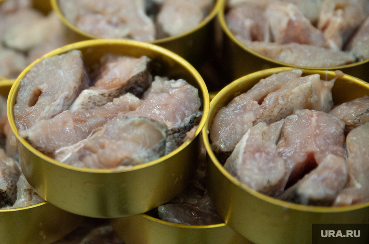 Производство рыбных консерв. Салехард, продукты, питание, консервная банка