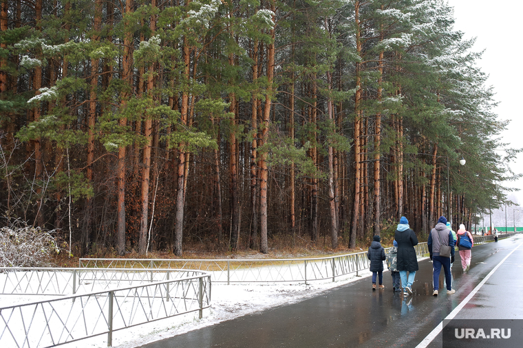 Первый снег. Тюмень, прогулка, парк, экопарк