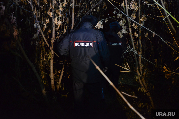 Операция "Бомж" полиции Калининского района. Челябинск, розыск, кусты, полиция, поиск, следственные действия