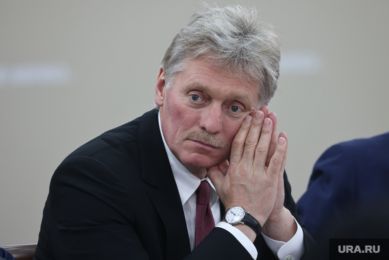 Встреча президента России Владимира Путина с президентом Зимбабве Эммерсоном Мнангагвой. Санкт-Петербург, песков дмитрий, топ
