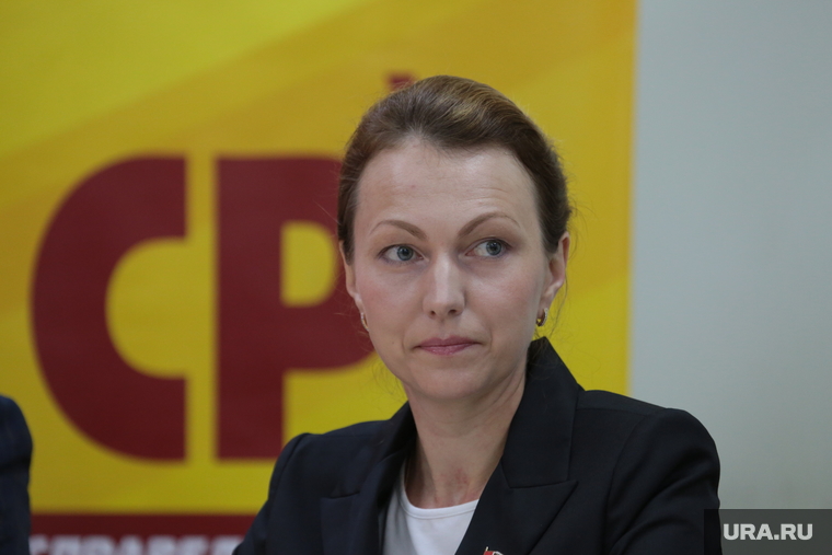 Кандидат в губернаторы Пермского края Александр Репин на пресс-конференции. Пермь, куликова вероника