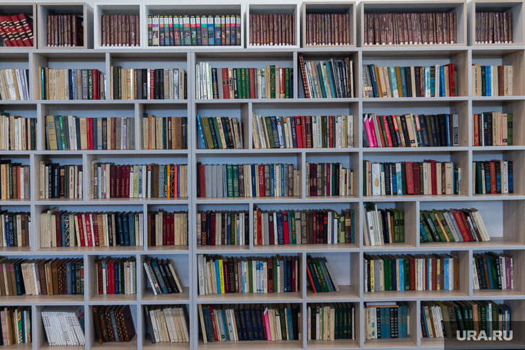 Открытие нового корпуса гимназии № 120. Екатеринбург, библиотека, гимназия, книги, литература, культура, чтение, учеба, образование, полки с книгами