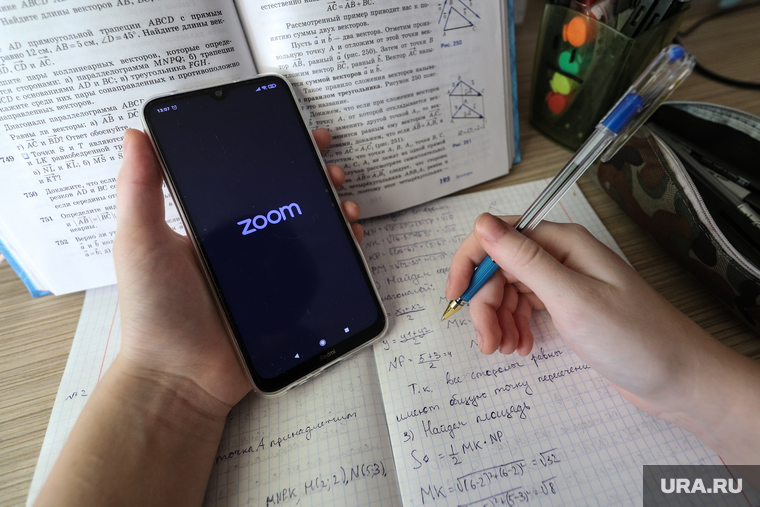 Клипарт на тему дистанционного обучения. Курган, сотовый телефон, учебники, домашнее обучение, видеоконференция, мобильный телефон, удаленка, дистанционное обучение, zoom, дистант, зум, урокионлайн