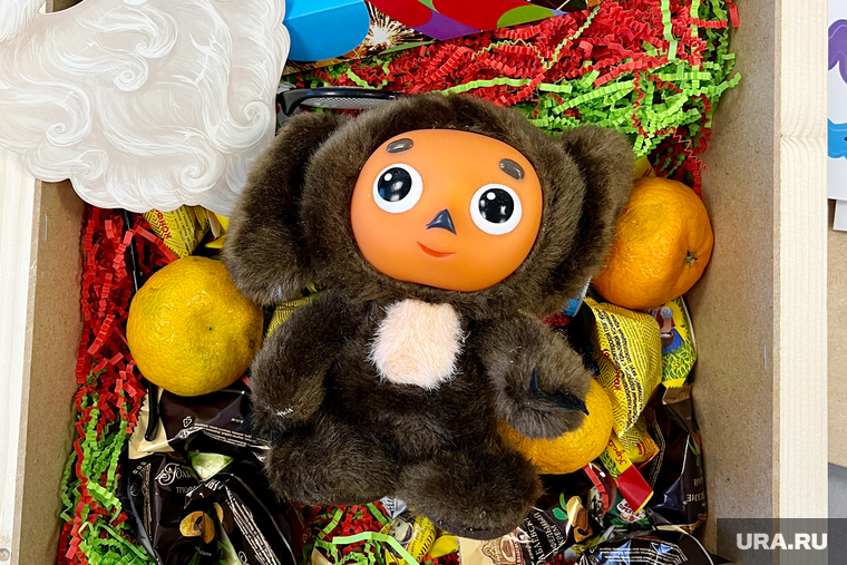 Повседневная жизнь. Пермь, новогодние подарки, игрушка чебурашка