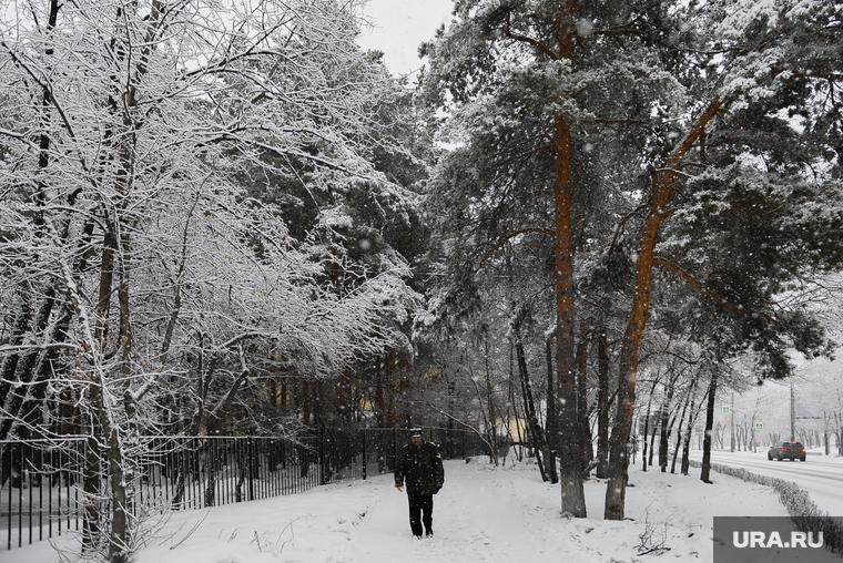 Снегопад. Челябинск, снег, пешеход, буран, метель, погода, непогода, городской пейзаж, снегопад, климат