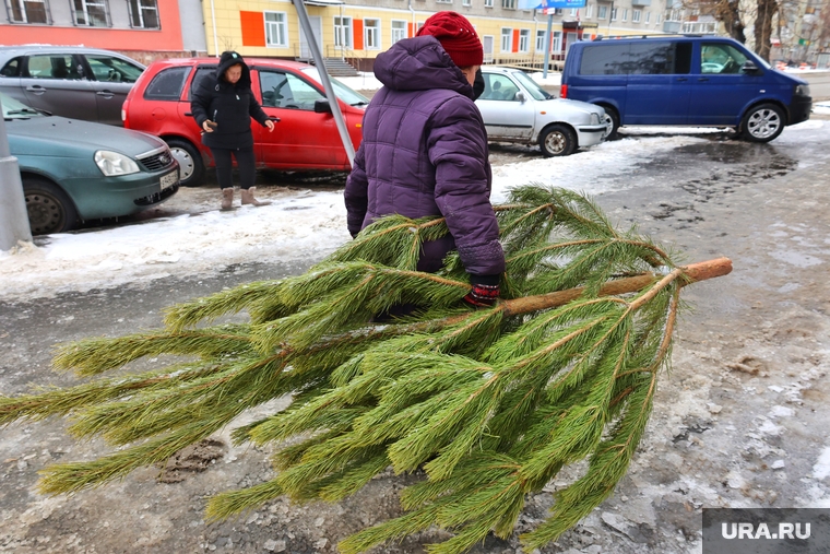 Гололед. Курган , елка, новый год