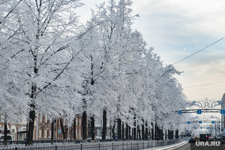 Мороз в городе. Пермь, зима, иней, комсомольский проспект, компроспект