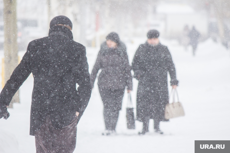 Снег в городе. Нижневартовск, снег, непогода, метель, снегопад
