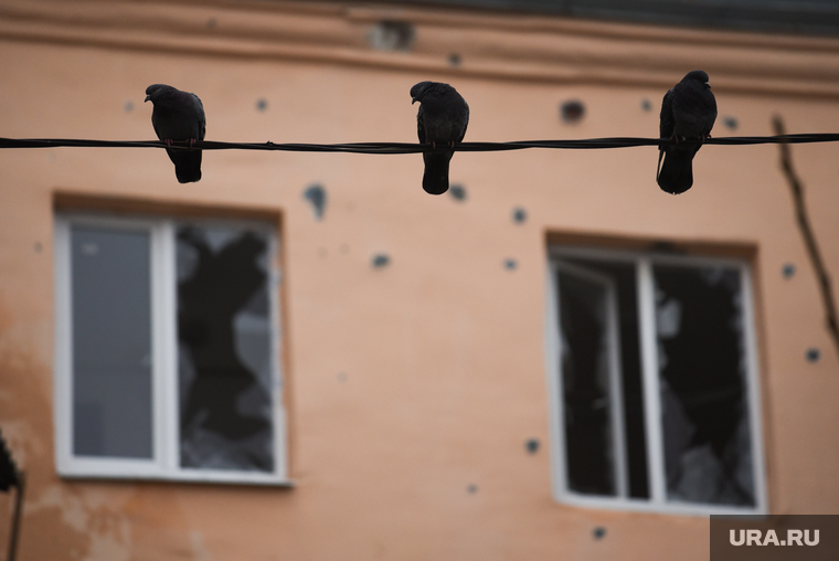 Последствия ночного обстрела Донецка ДНР. Донецк ДНР, последствия, донецкая народная республика, донецк, осколки, град, разрушения, выбитые стекла, обстрел
