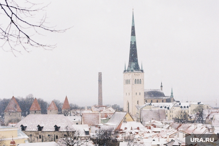 вопросы к сказке о мертвой царевне и 7 богатырях. андрей аверьянов. царев владимир ильич. вопросы цареву. вопрос-ответ.