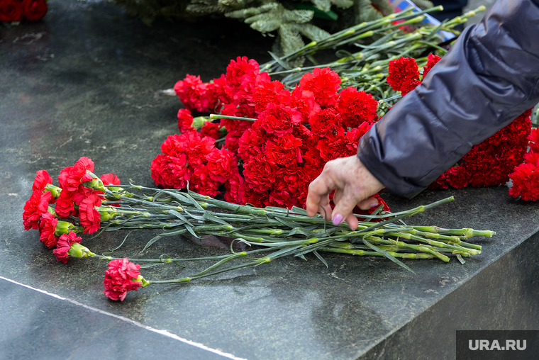 Клипарт. Возложение цветов, Мемориал на аллее Славы. Челябинск, гвоздики, цветы, рука, мемориал