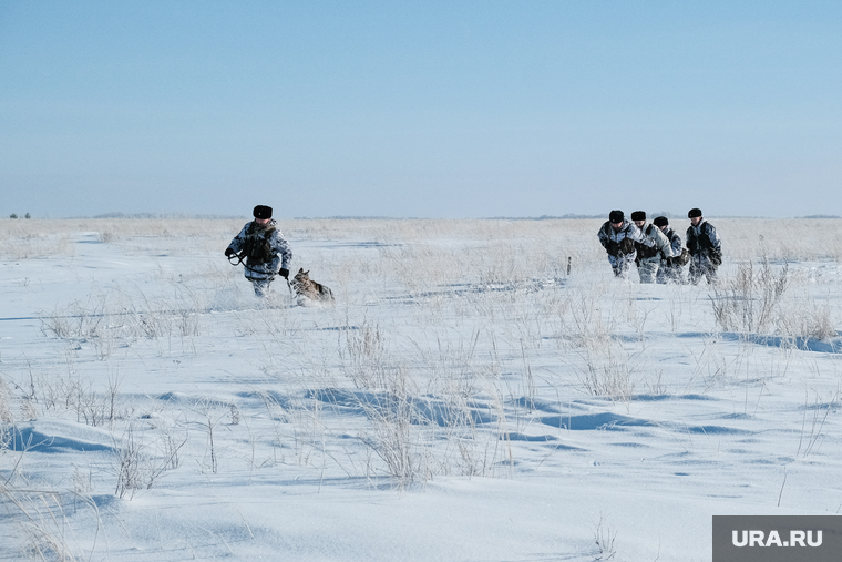 Контрольно-пропускной пункт «Звериноголовское». Звериноголовский район. , зима, служебная собака, граница россии, наряд реагирования, пограничиники, пограннаряд