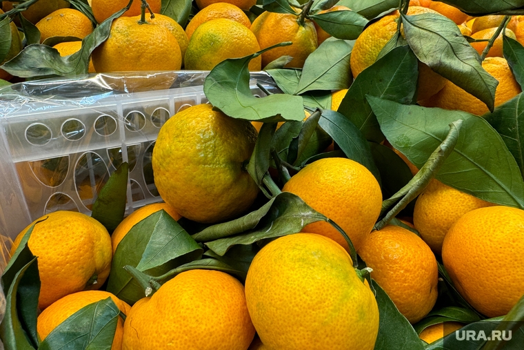 Продуктовый магазин. Курган, мандарины