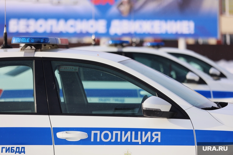 Пресс конференция в ГИБДД. Курган, дтп, полиция, гибдд, дпс, гаи
