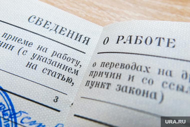 Трудовая книжка. Челябинск, трудовая книжка, кадровик, трудоустройство, работа, безработные