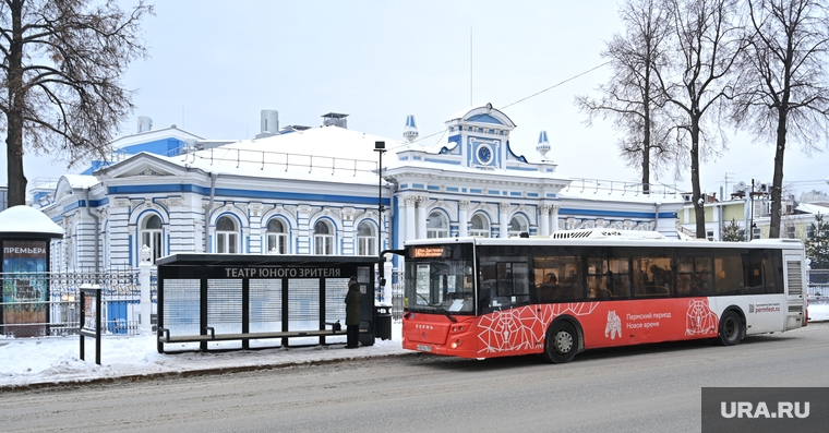 Театр юного зрителя. Пермь, зима, тюз, автобус, общественный транспорт, остановка автобусная
