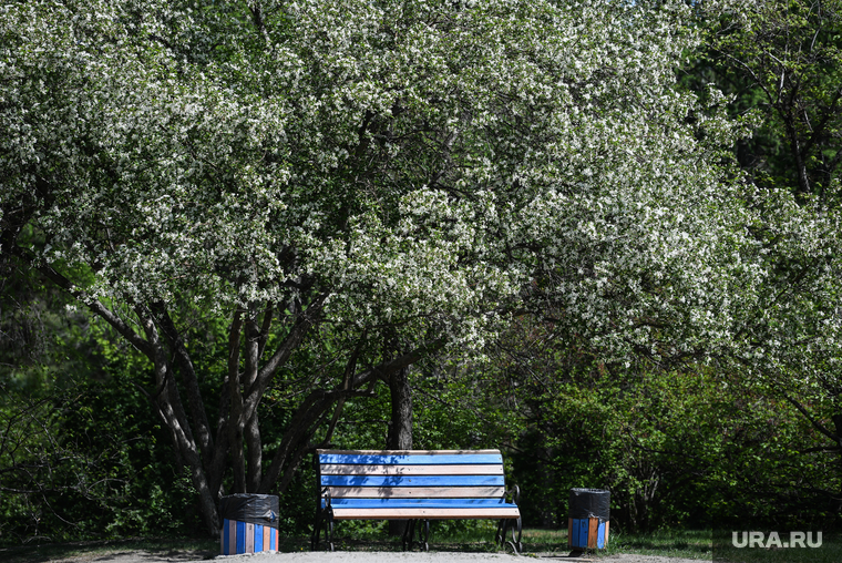 Виды Екатеринбурга, скамейка, парк