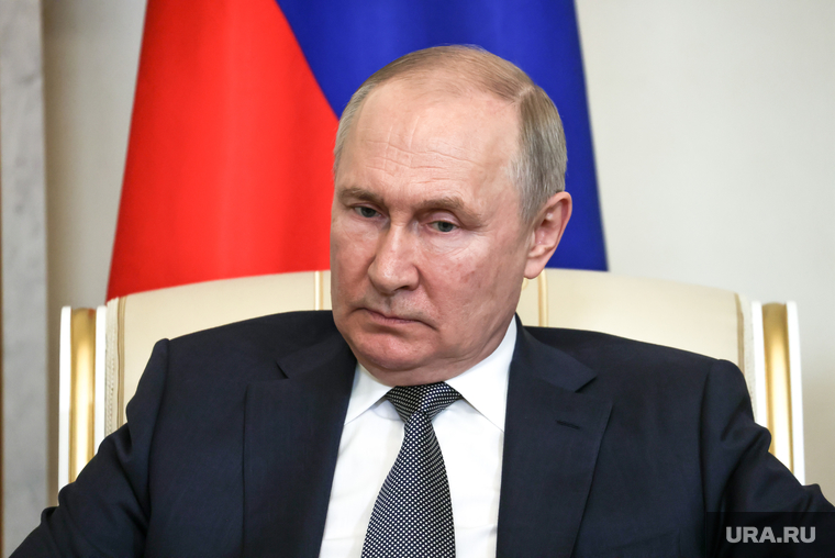 Президент России Владимир Путин на встрече с президентом Египта Абдул-Фаттахом Халилом Ас-Сиси, путин владимир, топ