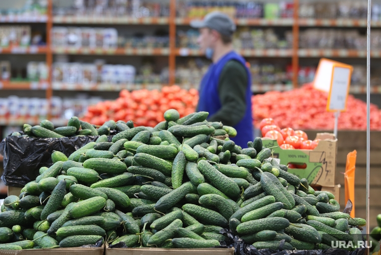 Магазин Метрополис. Курган , овощи, торговля, продукты, помидоры, огурцы, опт, розница, оптовая