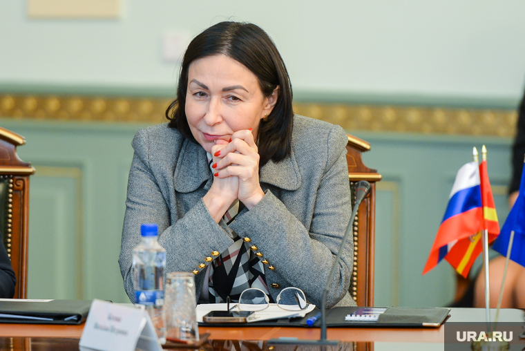 Заседание Президиума Регионального политического совета партии «Единая Россия». Челябинск, котова наталья