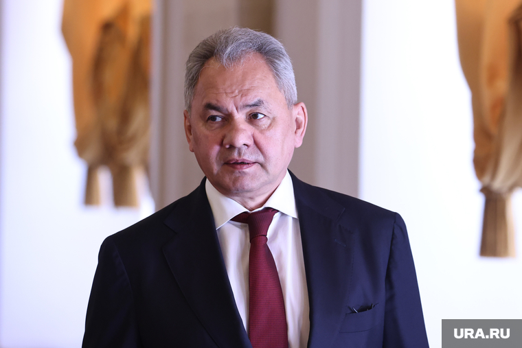 Прибытие президента Алжира Абдельмаджида Теббуна в Кремль. Москва, шойгу сергей, топ