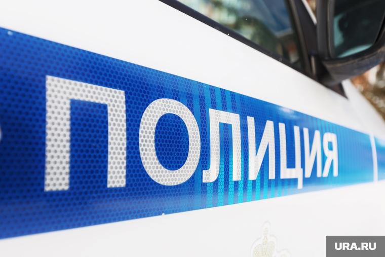 Пресс конференция в ГИБДД. Курган, дтп, полиция, гибдд, дпс, гаи