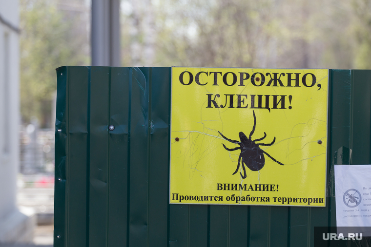 Церемония захоронения останков бойца. Екатеринбург, осторожно клещи