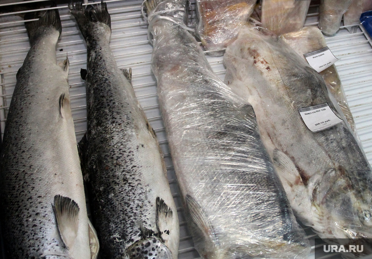 Рейд по оптовой продуктовой базе
Курган, продукты, морепродукты, рыба мороженная